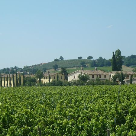 מונטפאלקו Agriturismo Villaggio Green מראה חיצוני תמונה
